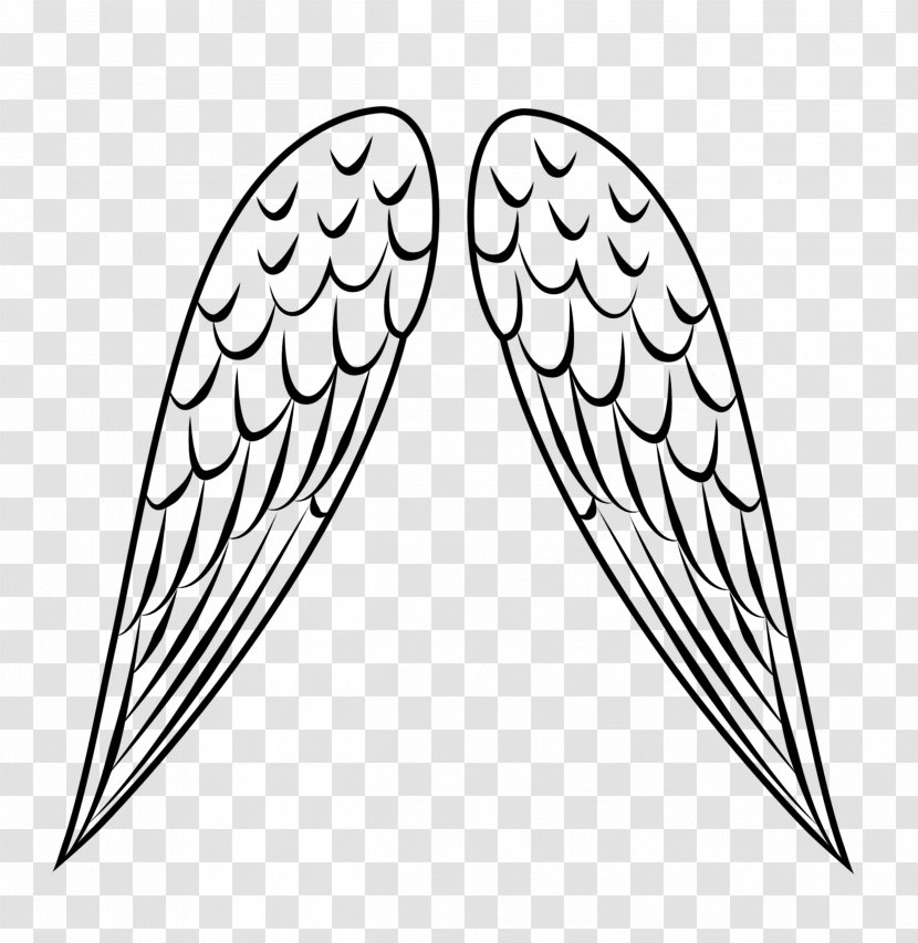 Bird Drawing Line Art Clip - Monochrome Photography - Angel Wing Transparent PNG