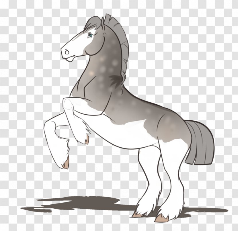 Mane Pony Foal Mustang Stallion - Neck Transparent PNG