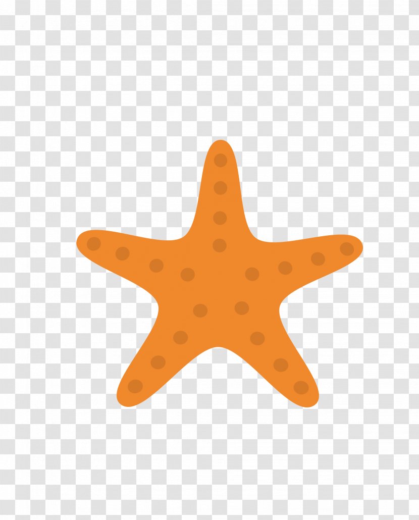 Icon Design - Symbol - Starfish Transparent PNG