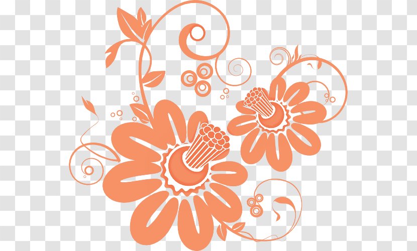 Floral Design - Plant - Flower Transparent PNG