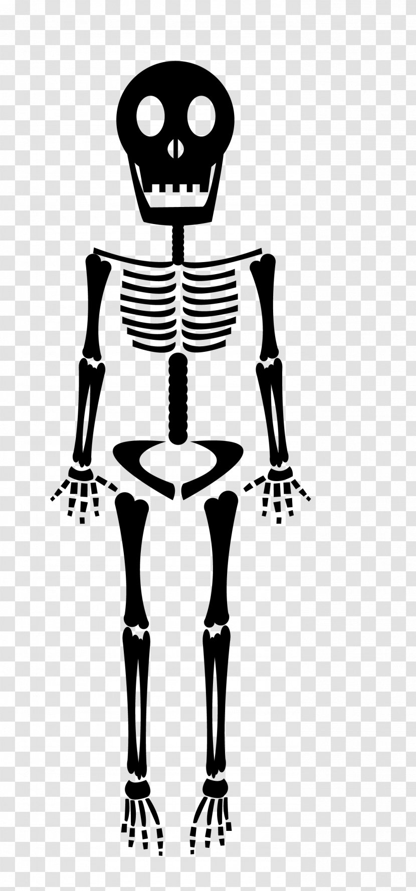 Human Skeleton Bone - Silhouette - Black Transparent PNG