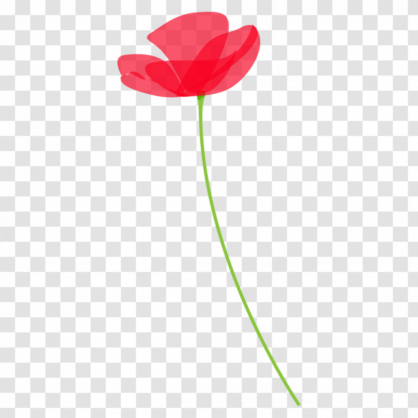 Poppy Flower Transparent PNG