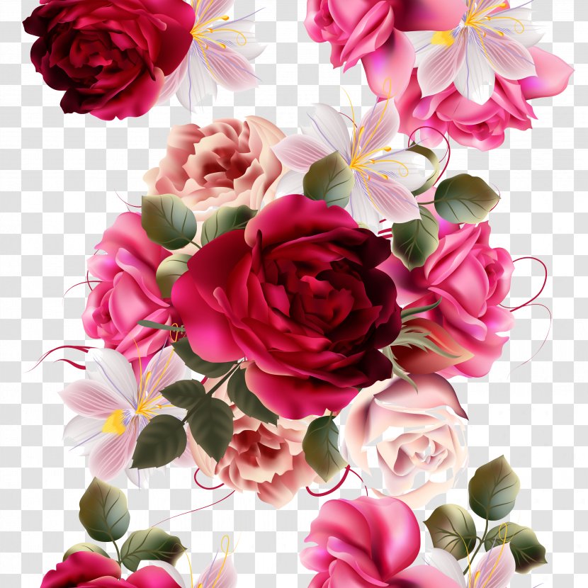 Rose Flower Photography - Plant - Beautiful Flowers Vector Material Painting Transparent PNG