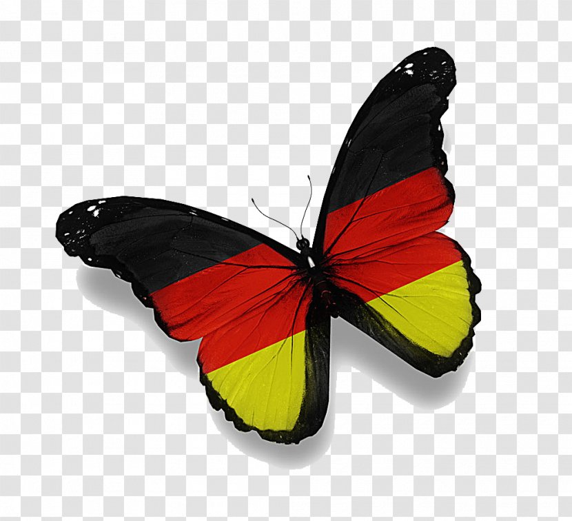 Germany Rio De Janeiro Flag Of Saudi Arabia - Monarch Butterfly Transparent PNG