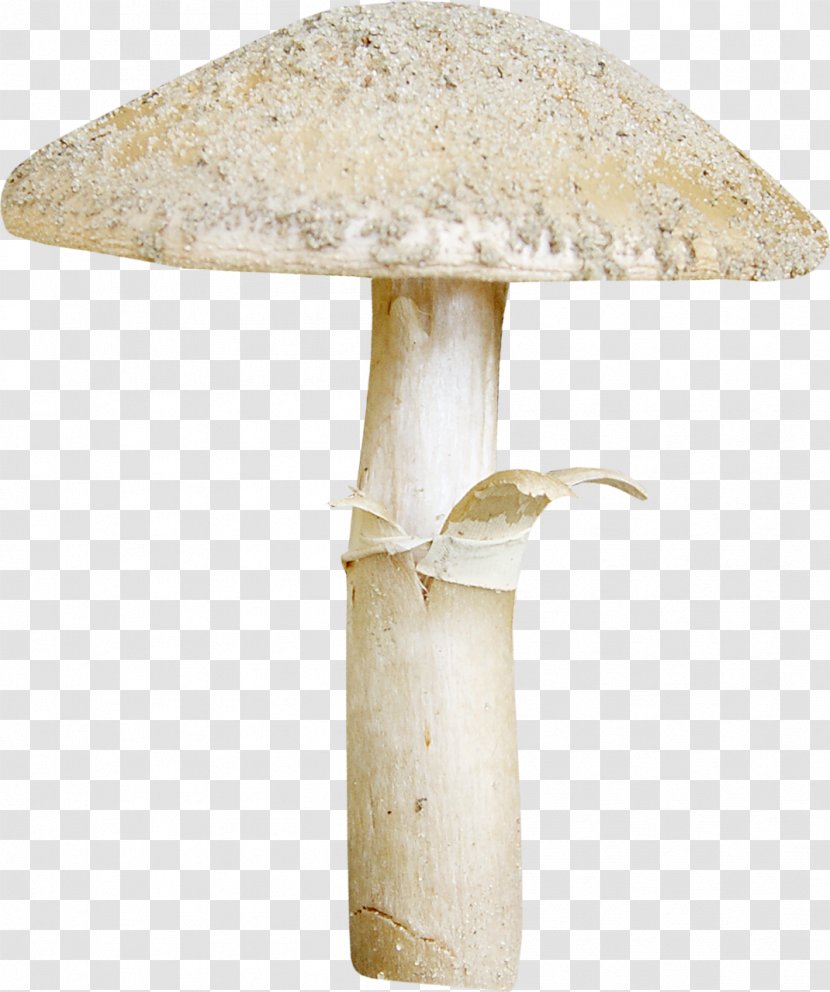 Mushroom Hericium Erinaceus - Dots Per Inch Transparent PNG