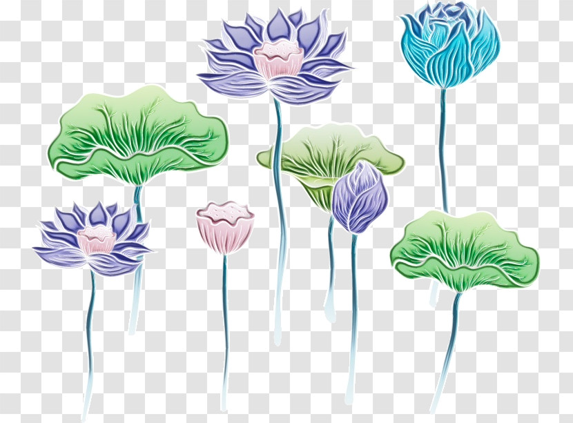 Flower Plant Plant Stem Leaf Tulip Transparent PNG