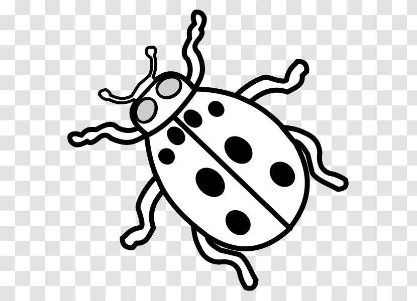 Ladybird Beetle Insect Sign Drawing Symbol - Drawer Transparent PNG