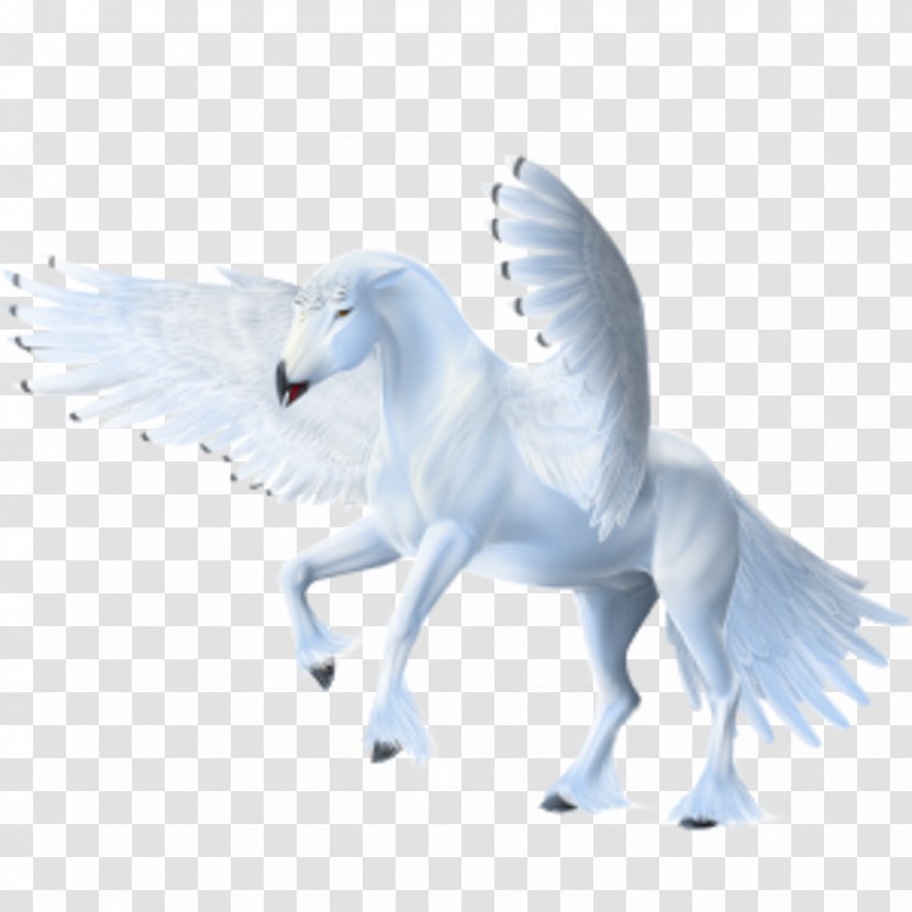 Howrse Pegasus Arabian Horse - Drawing Transparent PNG