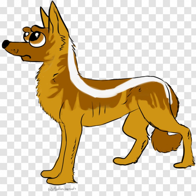 Dog Breed Red Fox Snout Clip Art - Carnivoran Transparent PNG