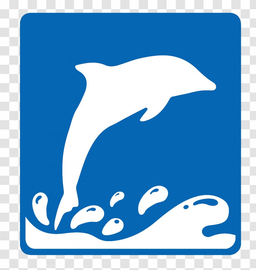 Common Bottlenose Dolphin Tucuxi Killer Whale Clip Art - Marine Mammal Transparent PNG
