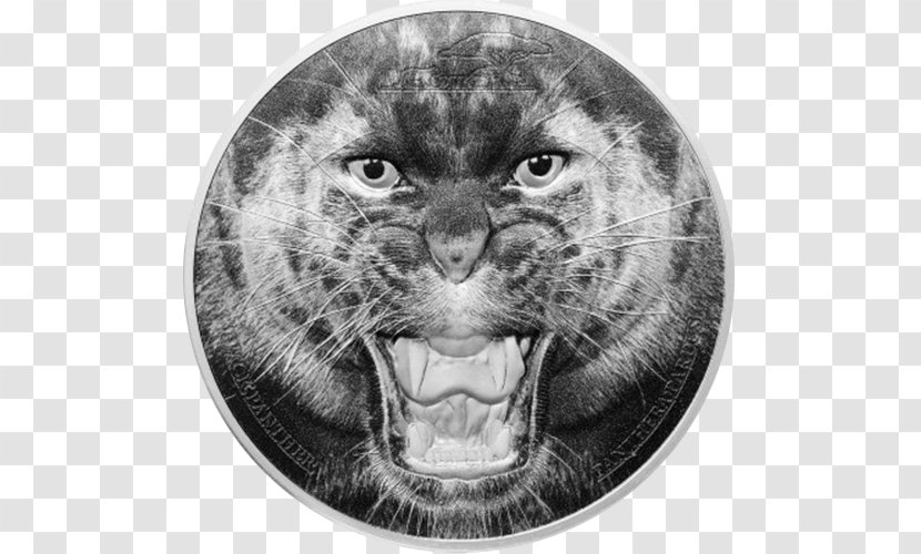 Silver Coin Whiskers Leopard - Bengal Tiger Transparent PNG