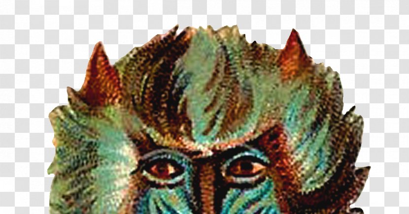 Mask Hotline Miami Common Warthog Canidae Mammal - Computer - Vintage Animals Transparent PNG