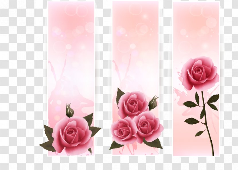 Rose Web Banner - Garden Roses - Vector Vertical Design Transparent PNG