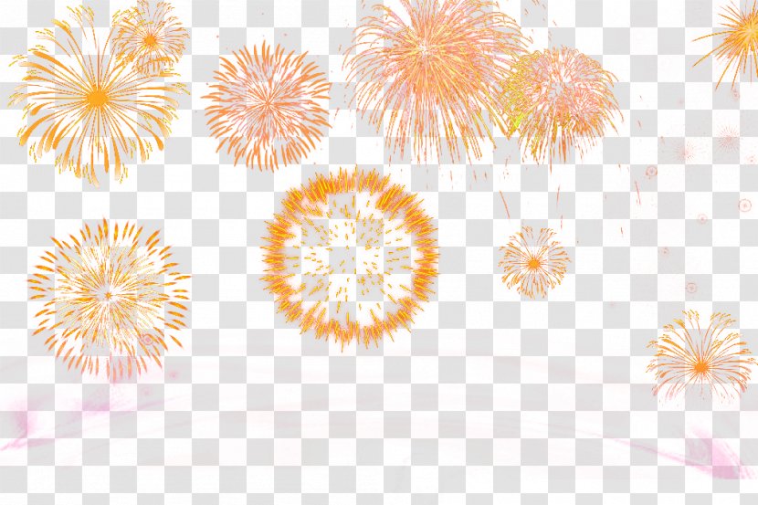 Fireworks Computer File - Peach - Orange Transparent PNG