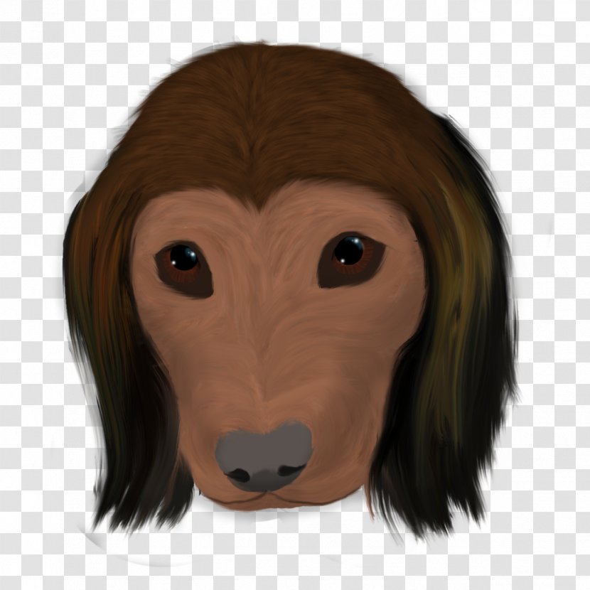 Dog Breed Snout Headgear Transparent PNG