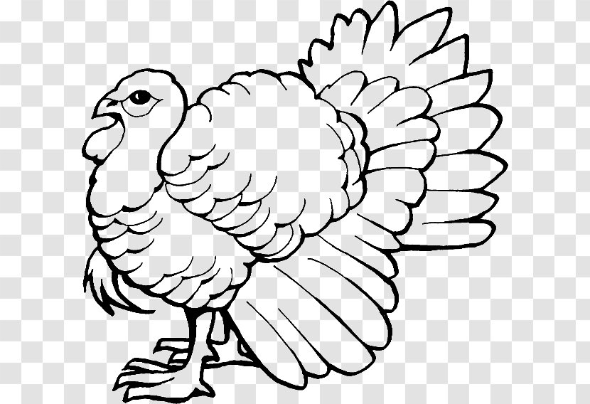 Coloring Book Turkey Drawing Child - Pencil Transparent PNG