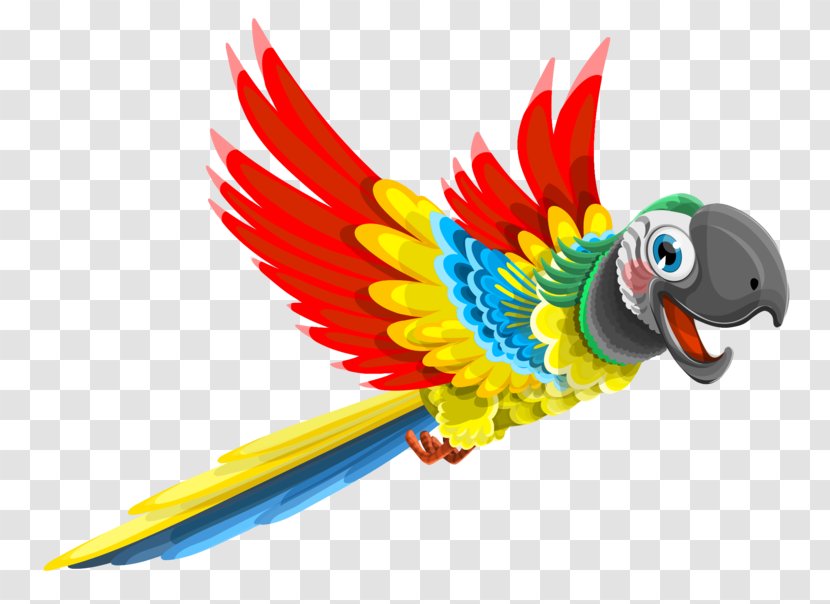 Parrot Vector Graphics Clip Art Image Transparent PNG