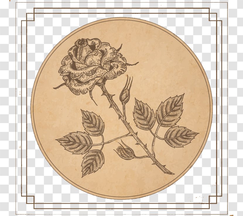 Paper Drawing Photography Clip Art - Stock - Vintage Rose Design Vector Material Transparent PNG