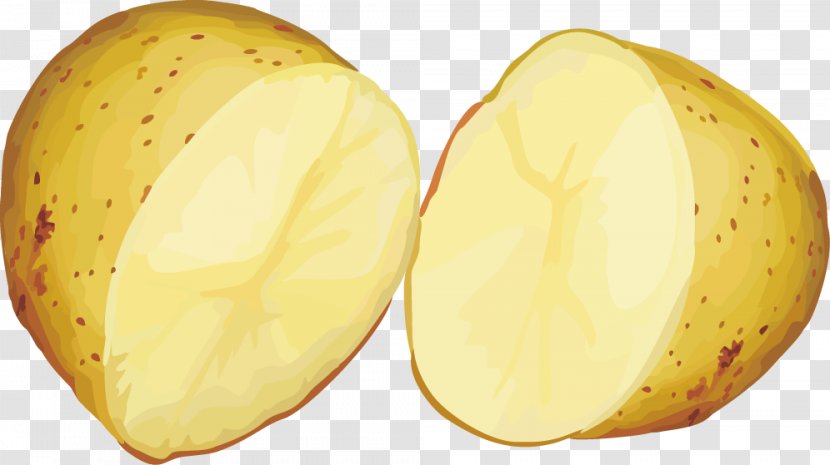 Yukon Gold Potato Euclidean Vector Vegetable - Apple - Fruits And Vegetables Material Transparent PNG