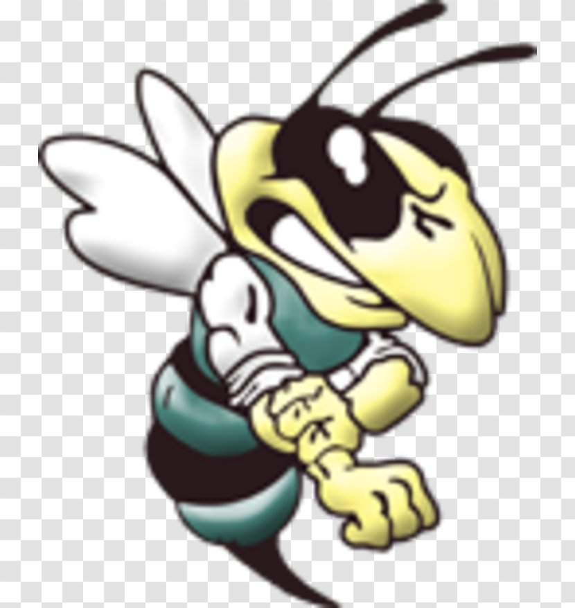 Yellowjacket Hornet Logo Georgia Tech Yellow Jackets Football Clip Art - Bee - Wasp Transparent PNG