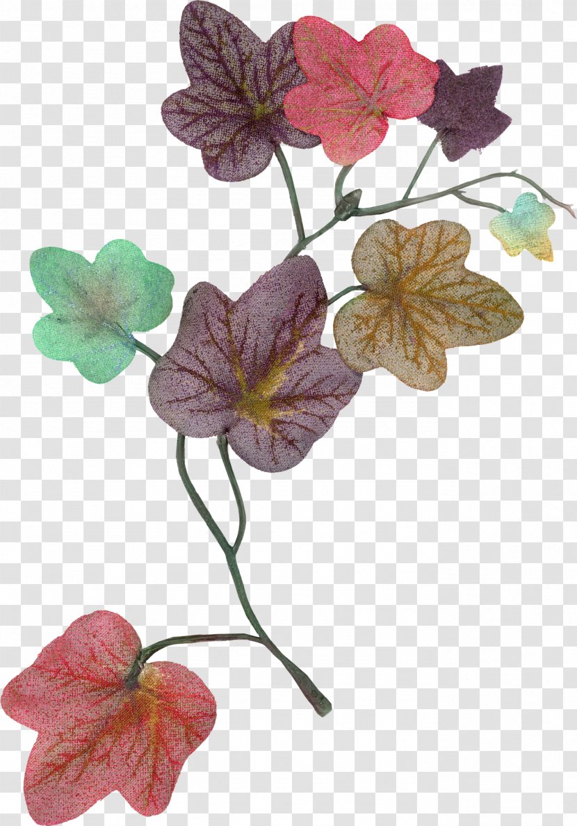Leaf Flower Image Petal - Painting Transparent PNG