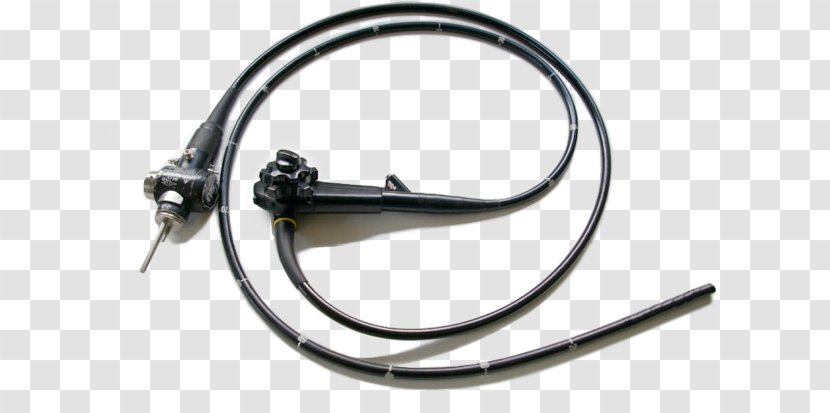 Endoscope Olympus Corporation Pentax Medicine Koloskop - Liquidcrystal Display - Home Repair Transparent PNG