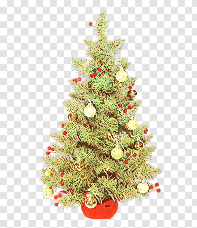 Christmas Tree - Oregon Pine - Spruce Transparent PNG