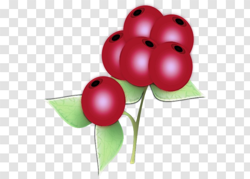 Holly - Cherry - Food Currant Transparent PNG