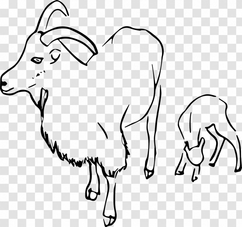 Ahuntz Cattle Drawing Clip Art - Flower - Vector Goat Transparent PNG