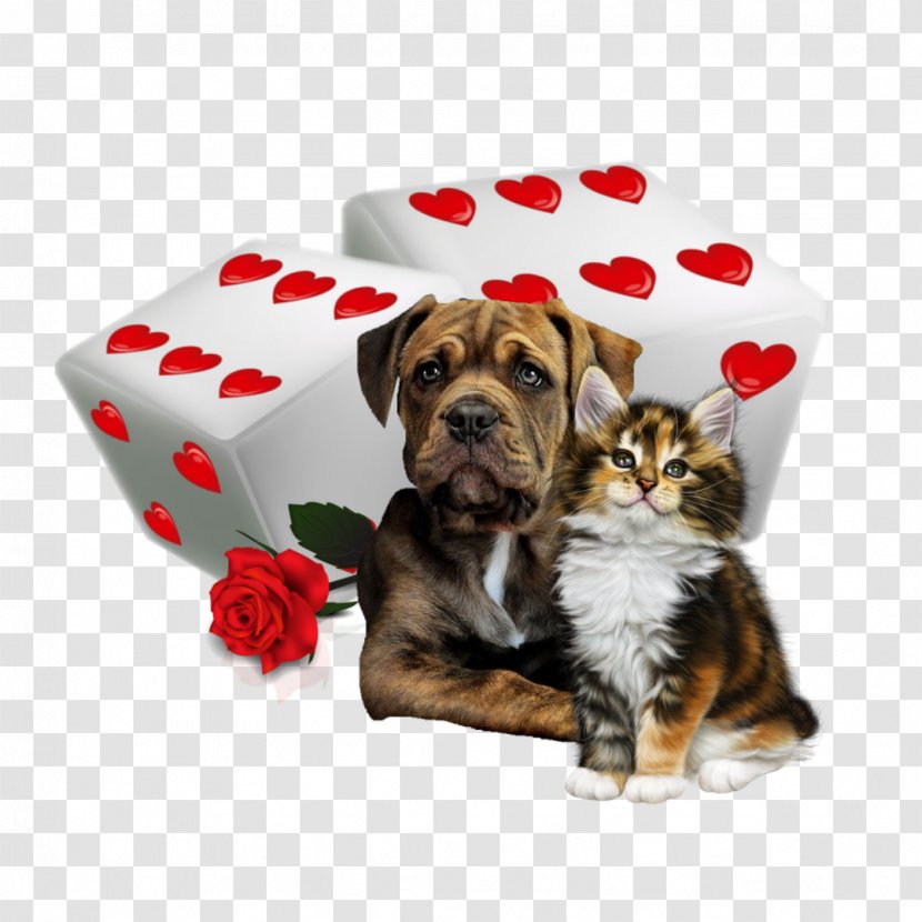 Friendship Day Love Background - Heart - Yorkshire Terrier Bulldog Transparent PNG