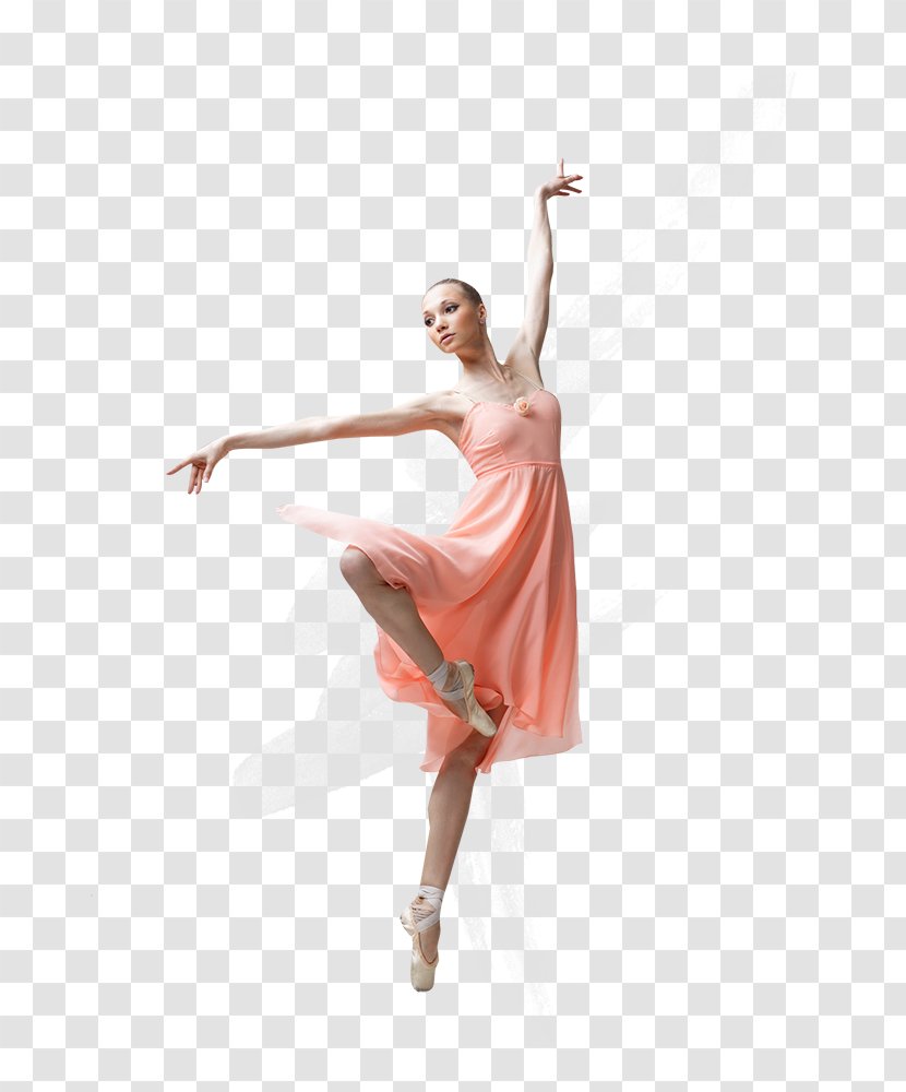 Modern Dance Tights Ballet Chacott Co.,Ltd. - Cartoon Transparent PNG