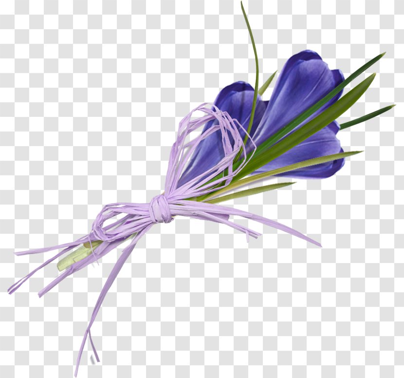 Flower Crocus Flavus Clip Art - Bouquet Transparent PNG