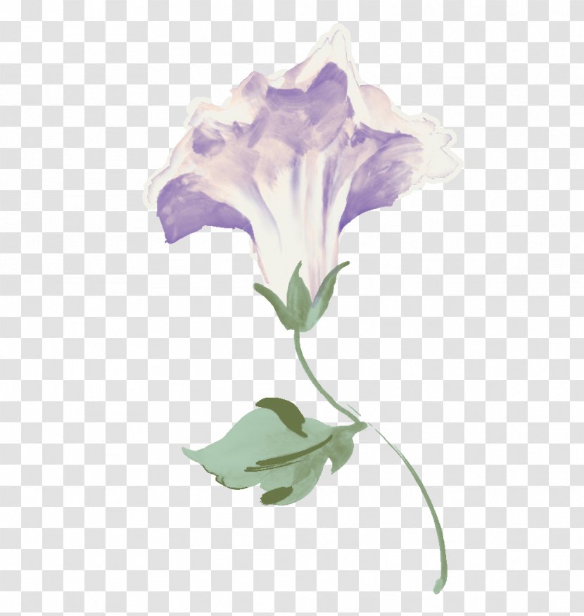 Flower Clip Art Image Drawing - Flowering Plant - Morning Glory Transparent PNG