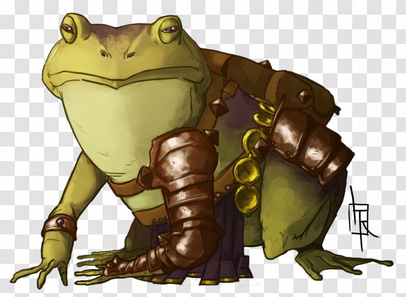 Toad True Frog Reptile Cartoon - Fauna - Vertebrate Transparent PNG
