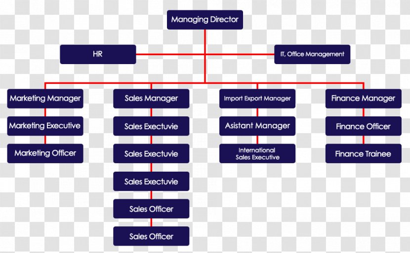 Organizational Structure Chart Management Marvel Comics - Area - Organization Transparent PNG