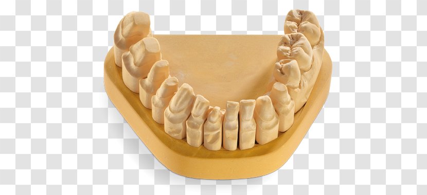 Dental Laboratory Dentistry Technician Laser Saw - Teeth Model Transparent PNG