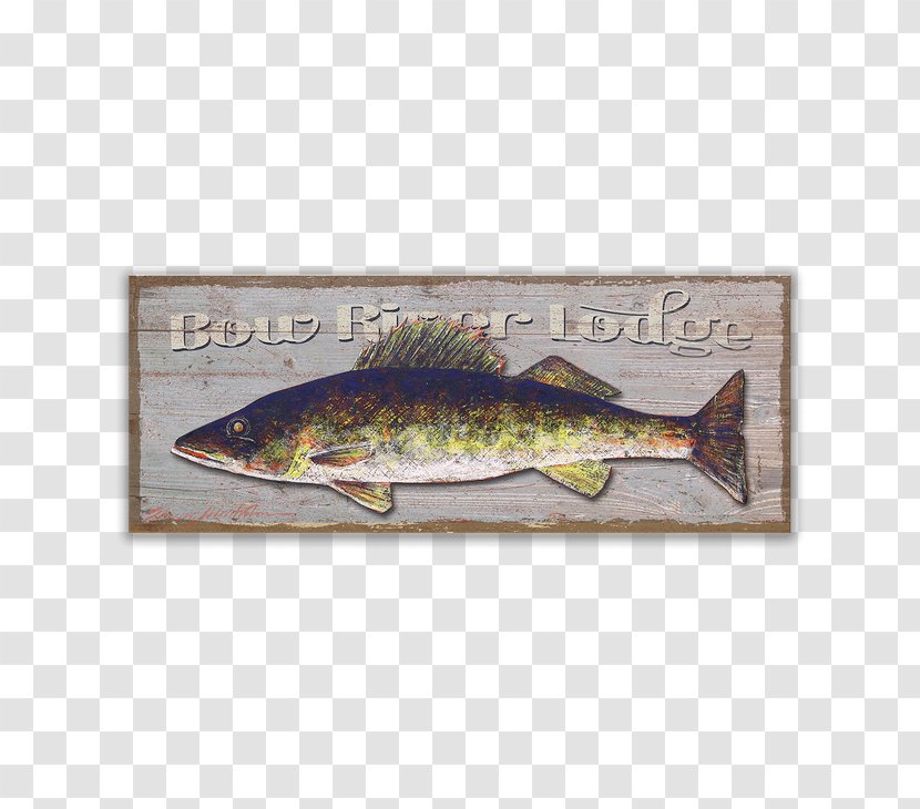 Walleye Fishing Fly Trout - Aluminium - Metal Sign Transparent PNG