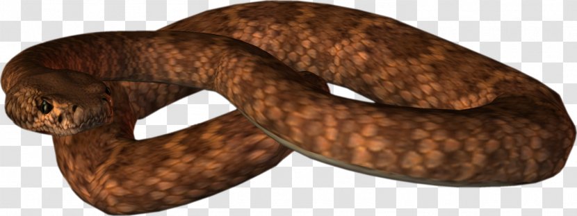 Snake Reptile Clip Art - Scaled - Snakes Transparent PNG