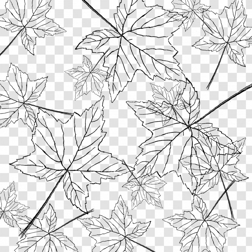 Leaf Line Art Floral Design - Autumn Color - A Bunch Of Maple Leaves Transparent PNG