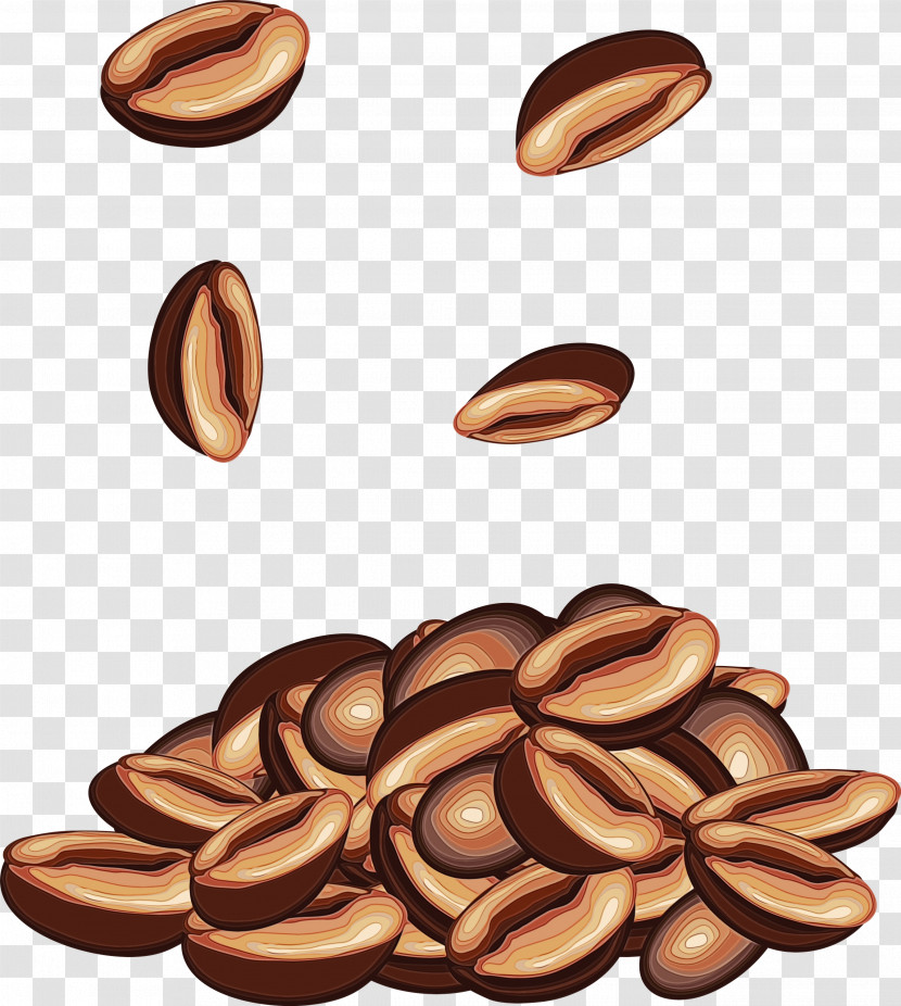 Plant Food Nuts & Seeds Seed Transparent PNG