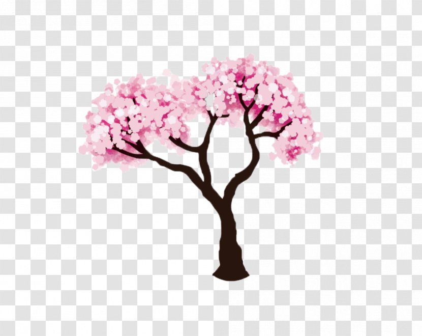 Cherry Blossom Drawing Fruit Tree - Flower Transparent PNG