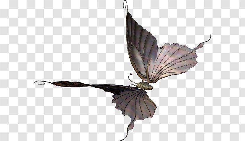 Butterfly 2403 (عدد) 2404 Clip Art Transparent PNG
