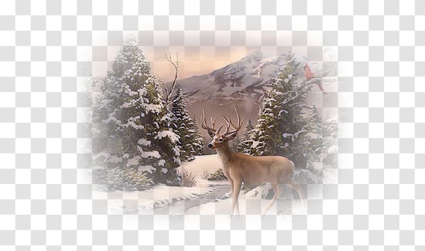 Christmas Day Painting Greeting & Note Cards Image GIF - Deer Transparent PNG
