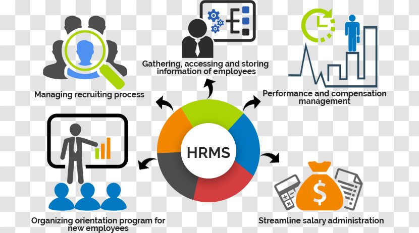 Human Resource Management System Capital Transparent PNG