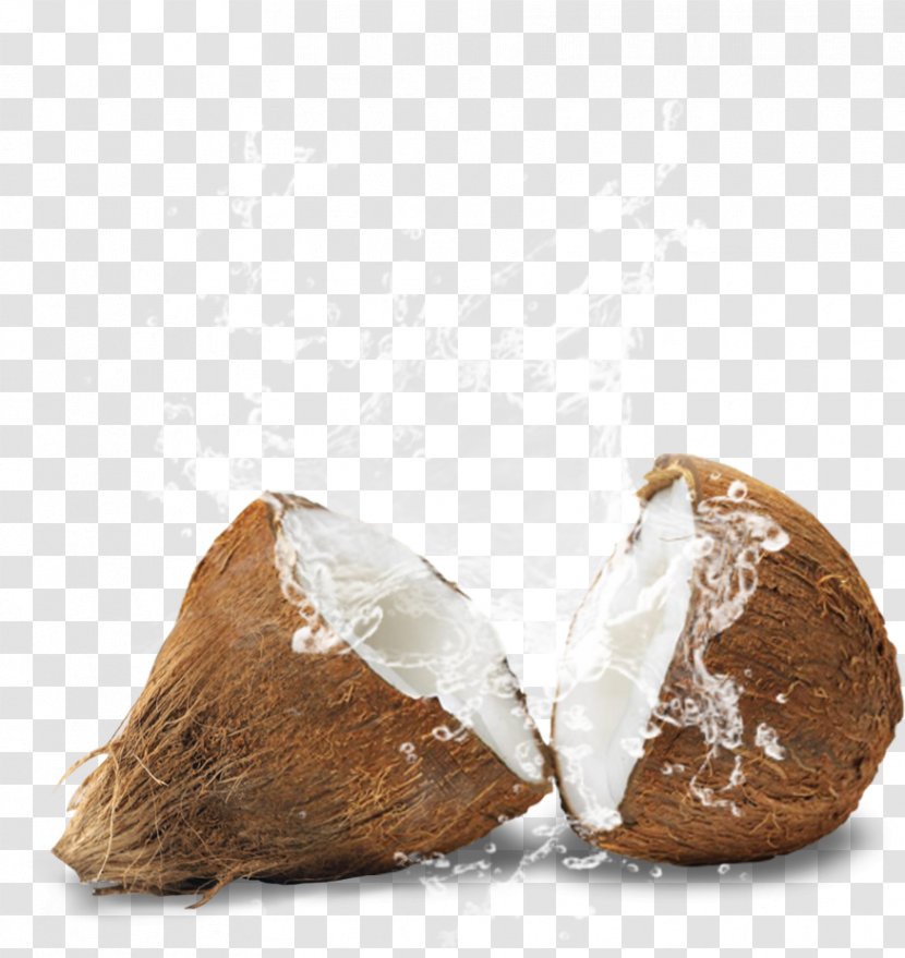 Oil Mill .com Ingredient Coconut - Auspiciousness Transparent PNG