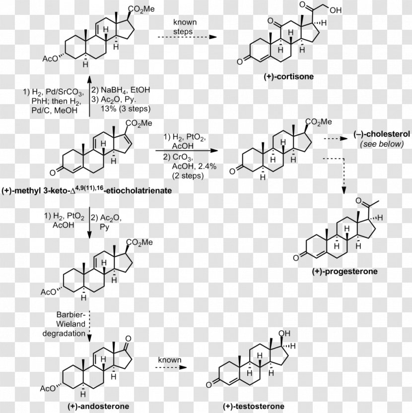 Cholesterol Total Synthesis Organic Chemistry Cortisone - Diagram Transparent PNG