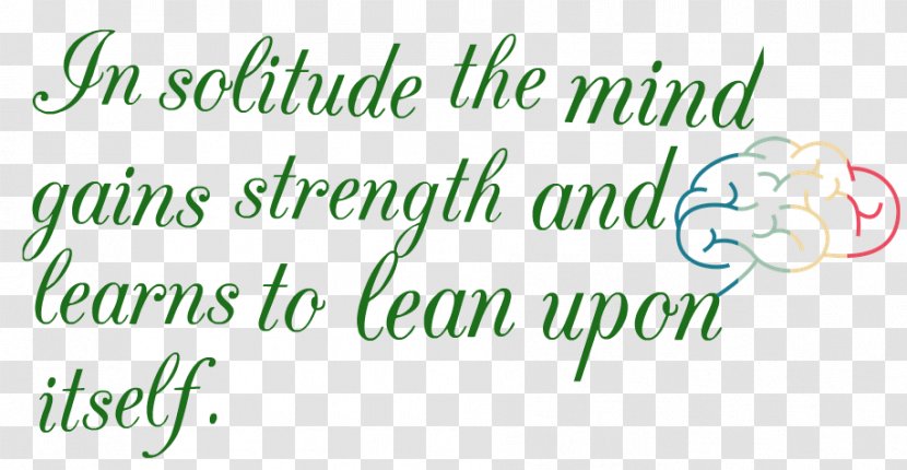 Calligraphy Font Green Writing Line - Quote Mark Transparent PNG