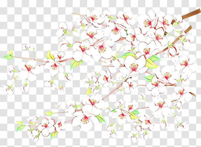 Cherry Blossom Background - Branch - Twig Transparent PNG