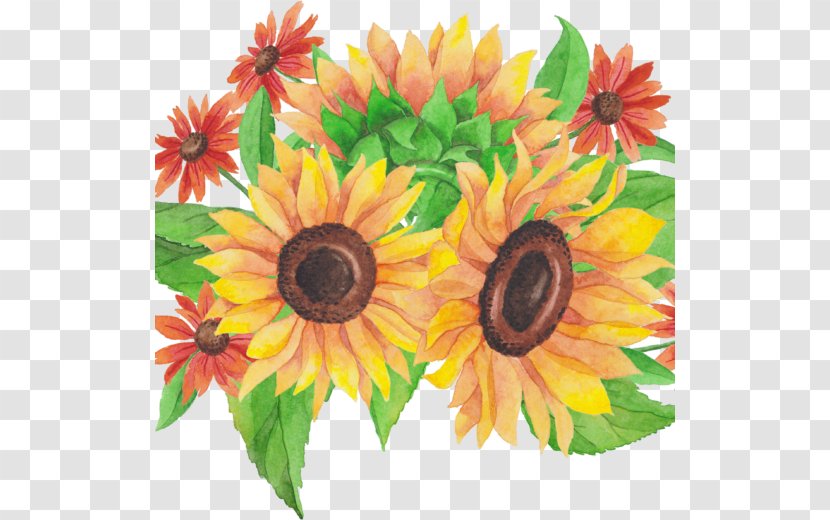 Common Sunflower Flower Bouquet Cut Flowers Floral Design Transparent PNG