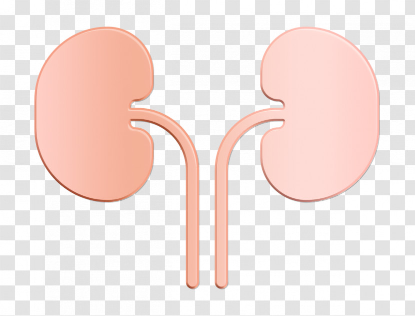 Kidneys Icon Medical Icon Anatomy Icon Transparent PNG